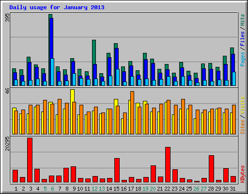 Daily usage for January 2013