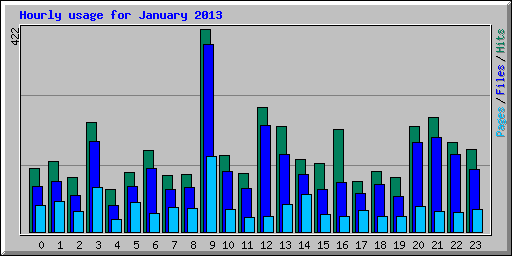 Hourly usage for January 2013