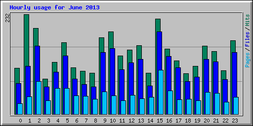 Hourly usage for June 2013