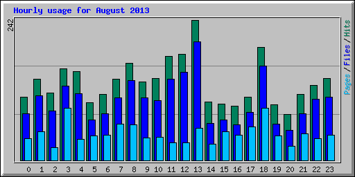 Hourly usage for August 2013